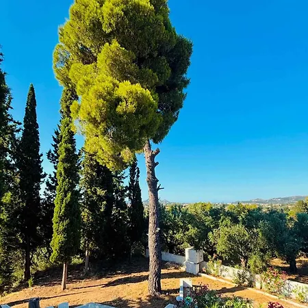 Casa Angelina 2 شقة