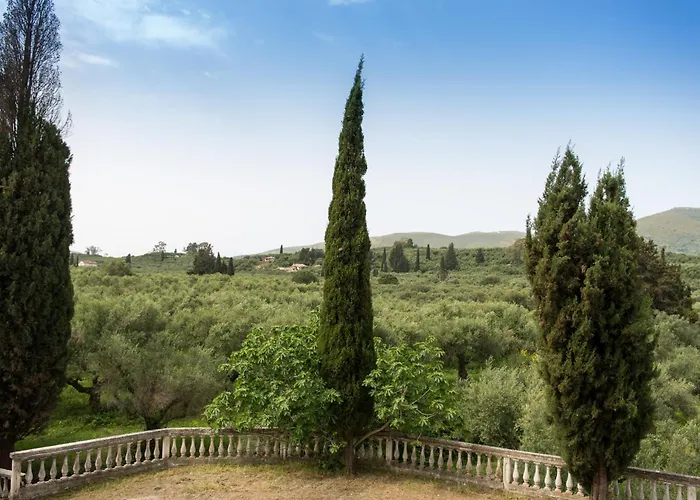 Casa Angelina 2 Lägenhet Laganas