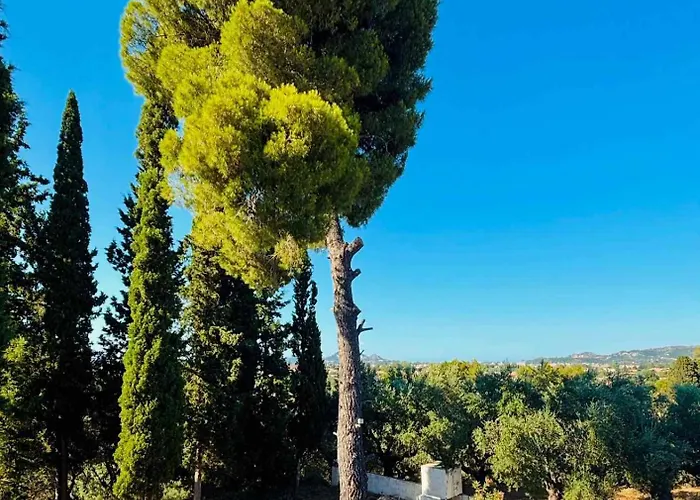 Casa Angelina 2 Lägenhet